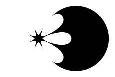 SINAPTUM Consultores